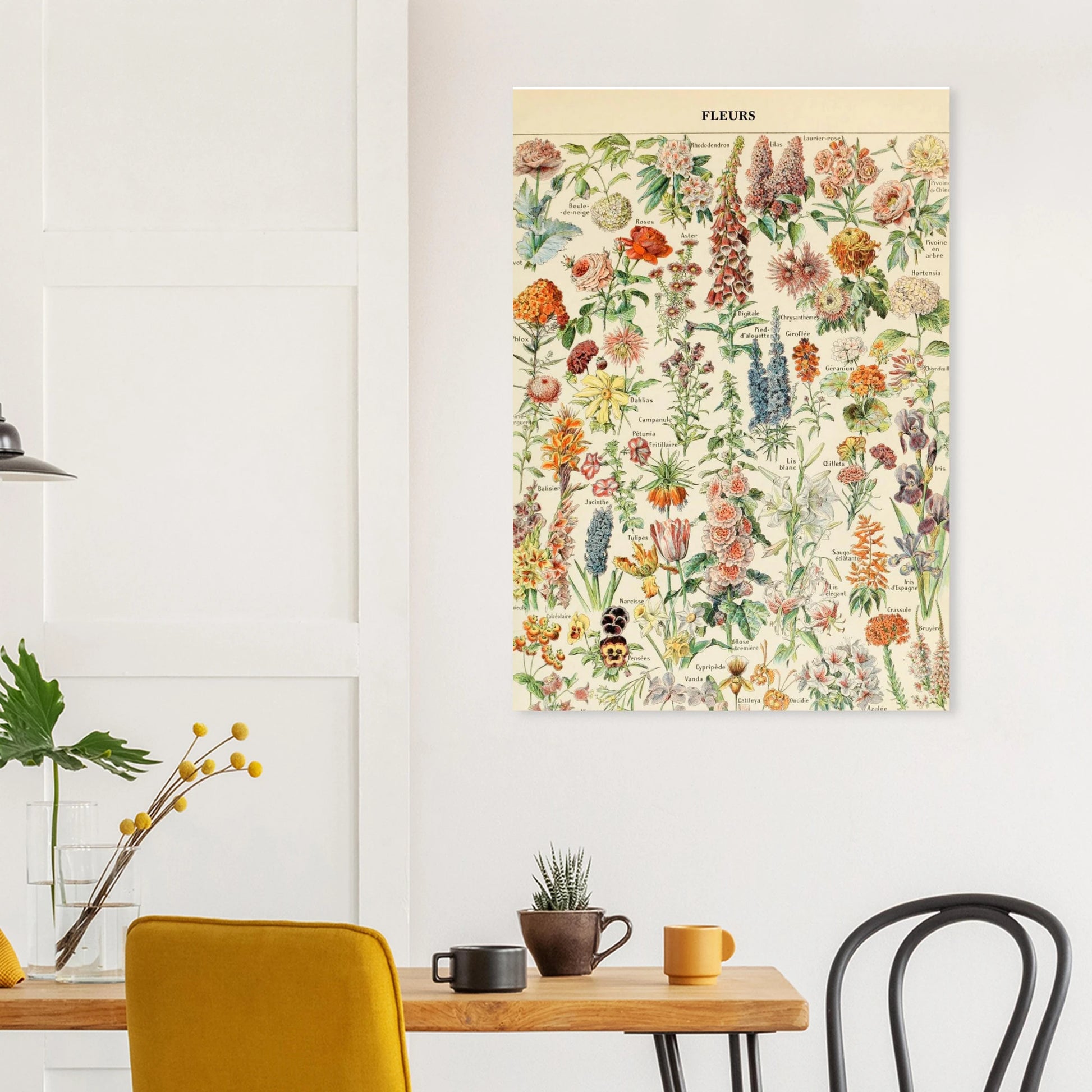 ba276db8-8d59-4ce8-9572-b10f0fa4d95b