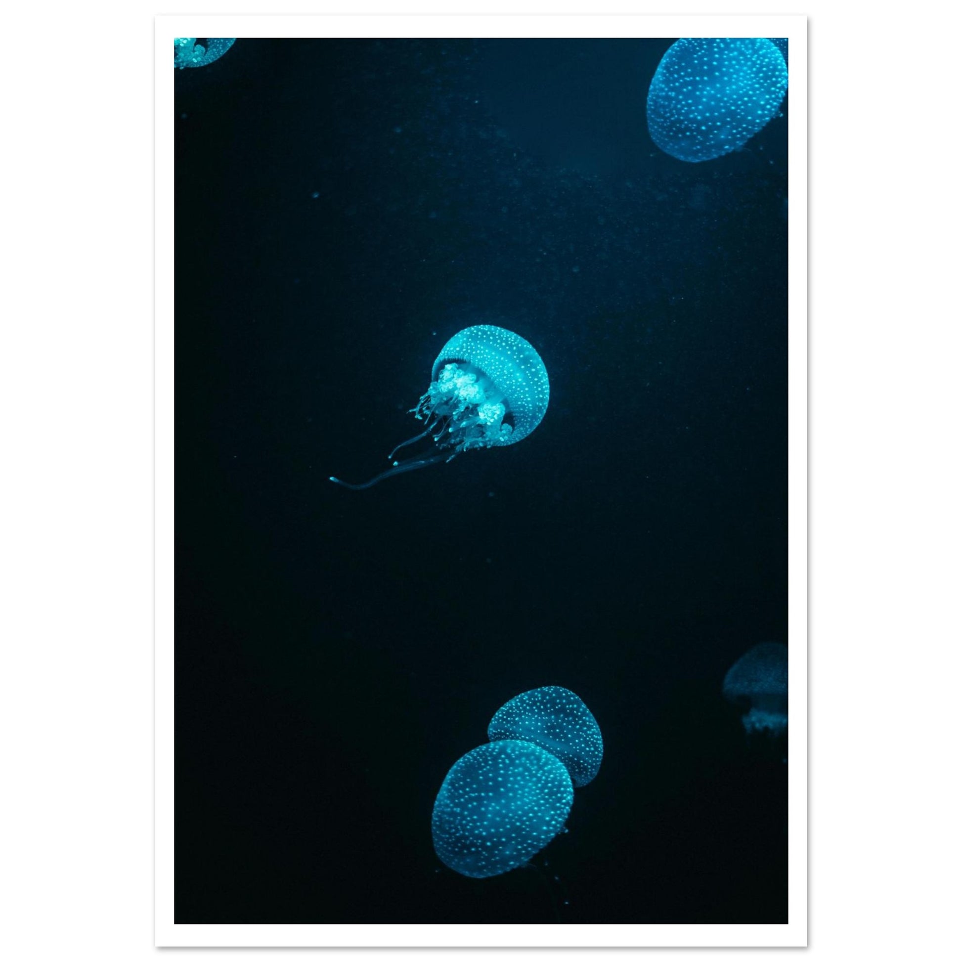 bb90fe66-b7d8-4086-b5d1-d89235cddbd3