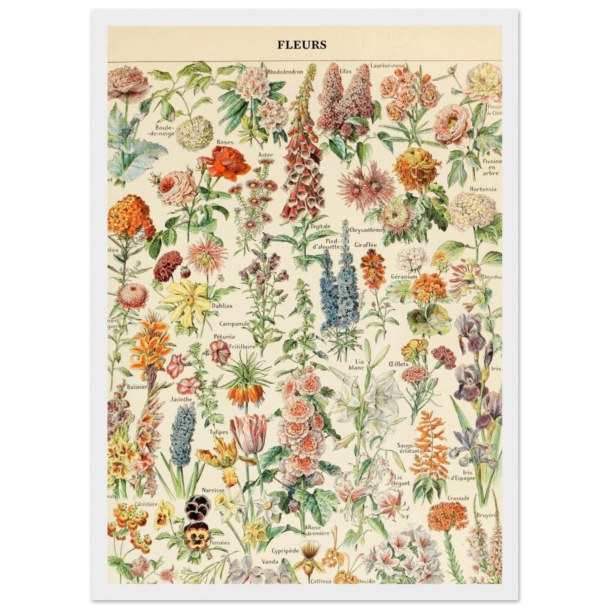 c02cdd27-0fa2-420c-9513-c85fb883fd27