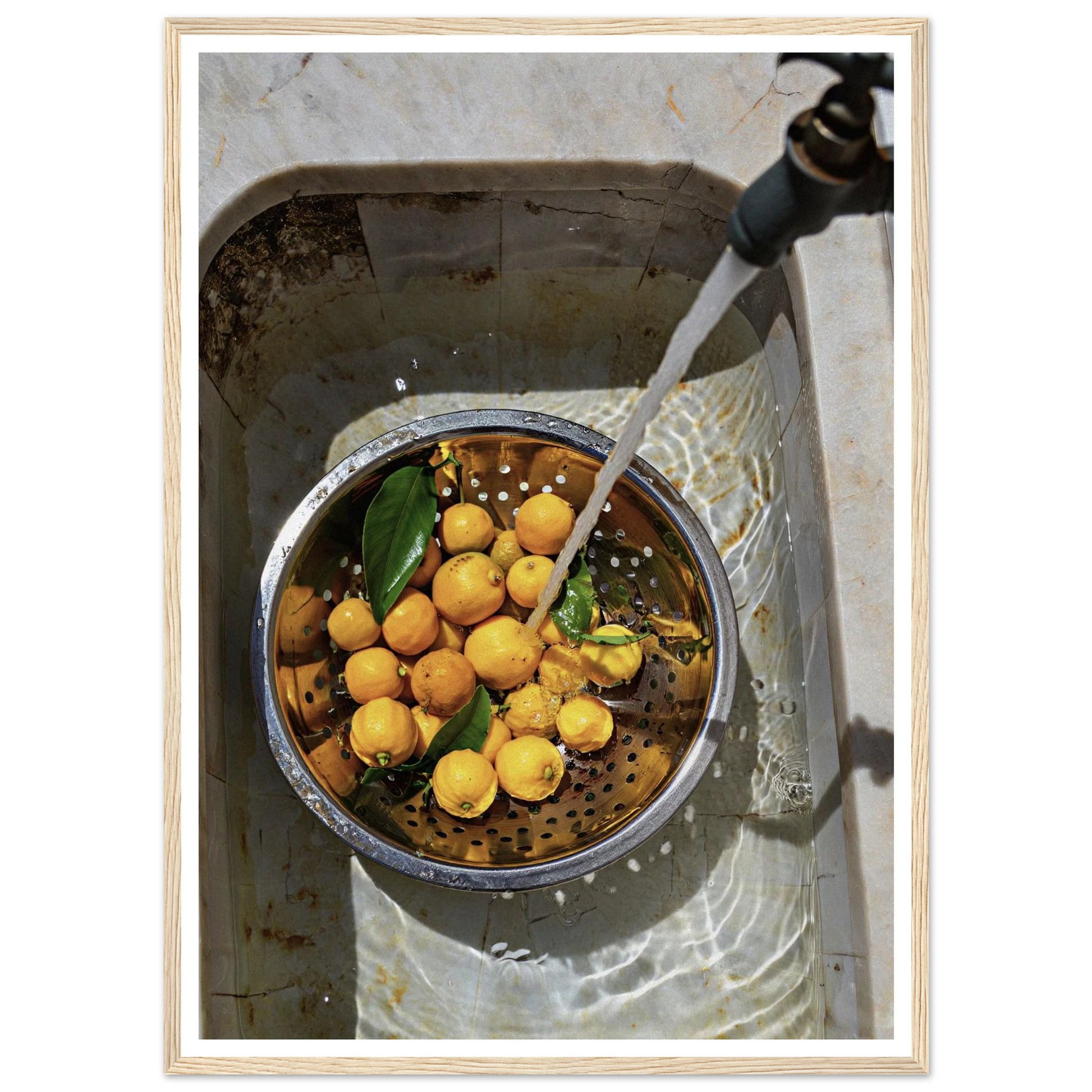 c3294f87-9ecf-48d4-ad44-16a02d54f1a2