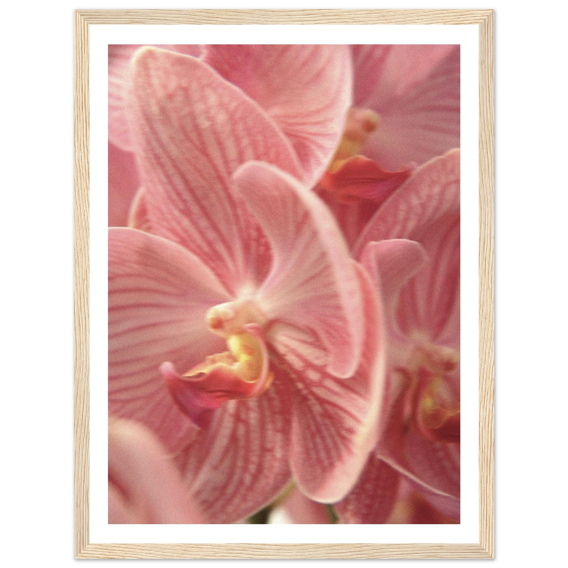 c375b27a-db74-4a89-83b9-d98ddbb5c72c