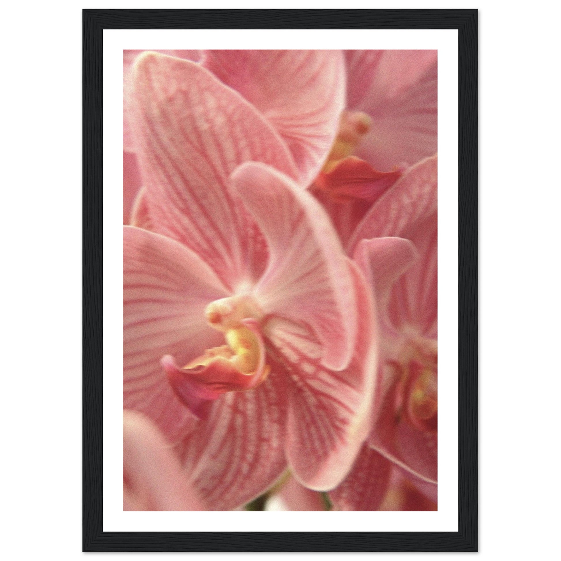 c543f0db-798d-4f7c-bb43-70cd7e317e43