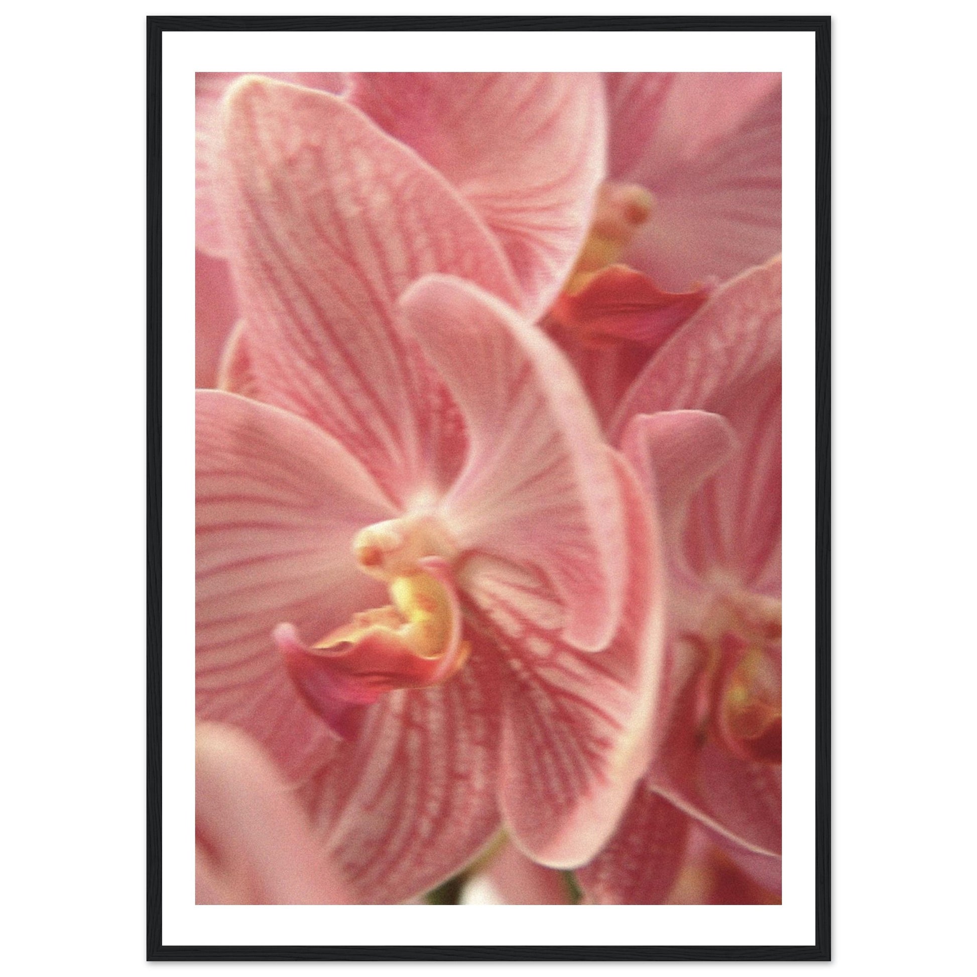 c6ca7bb8-9f30-4694-ab2c-de9042dced23