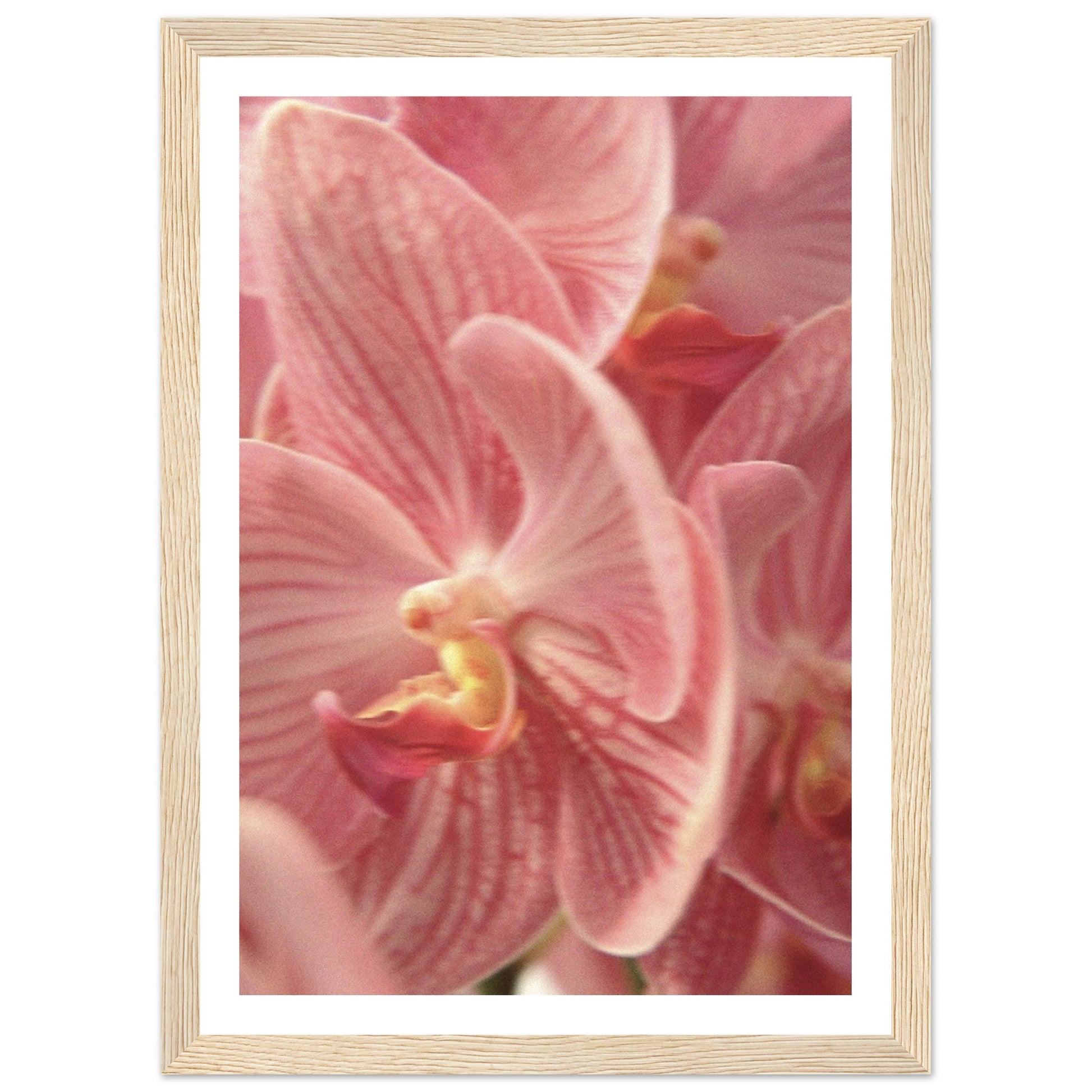 d0e98c79-2aec-4e2c-a5cc-ac5d1aed5a8b