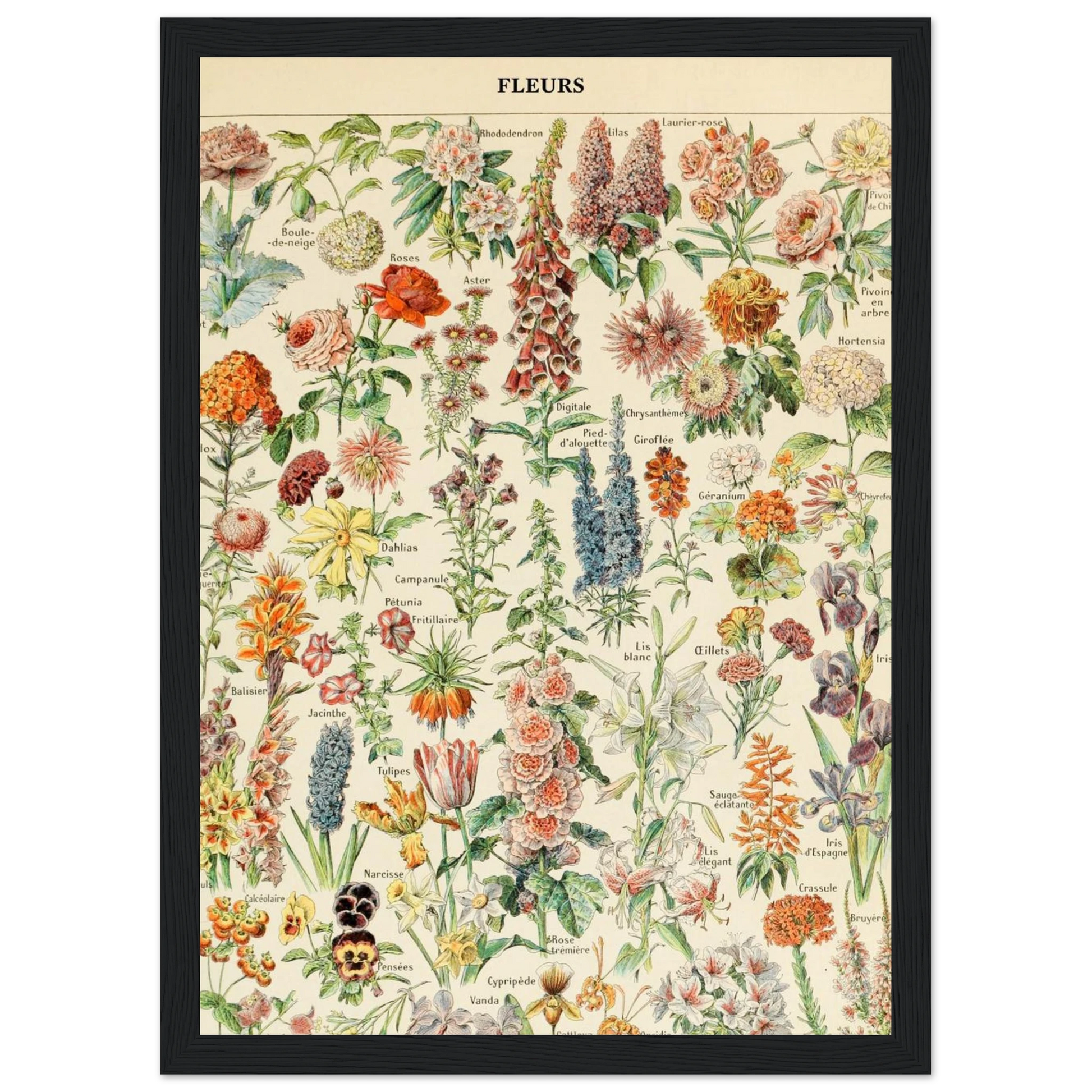 d44b40a8-1381-4a87-a404-8f1c13ed258d