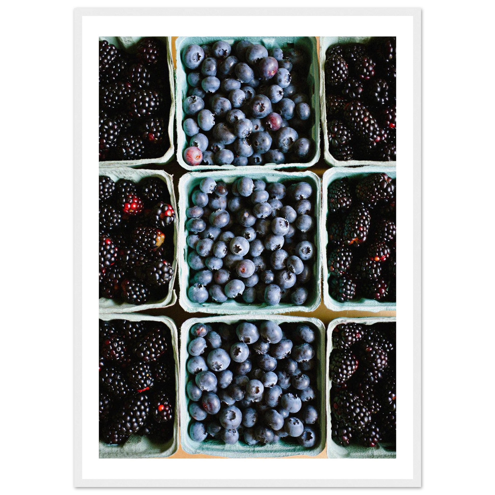 e18a19b0-f1d9-4b94-af91-5ed8f7c27961