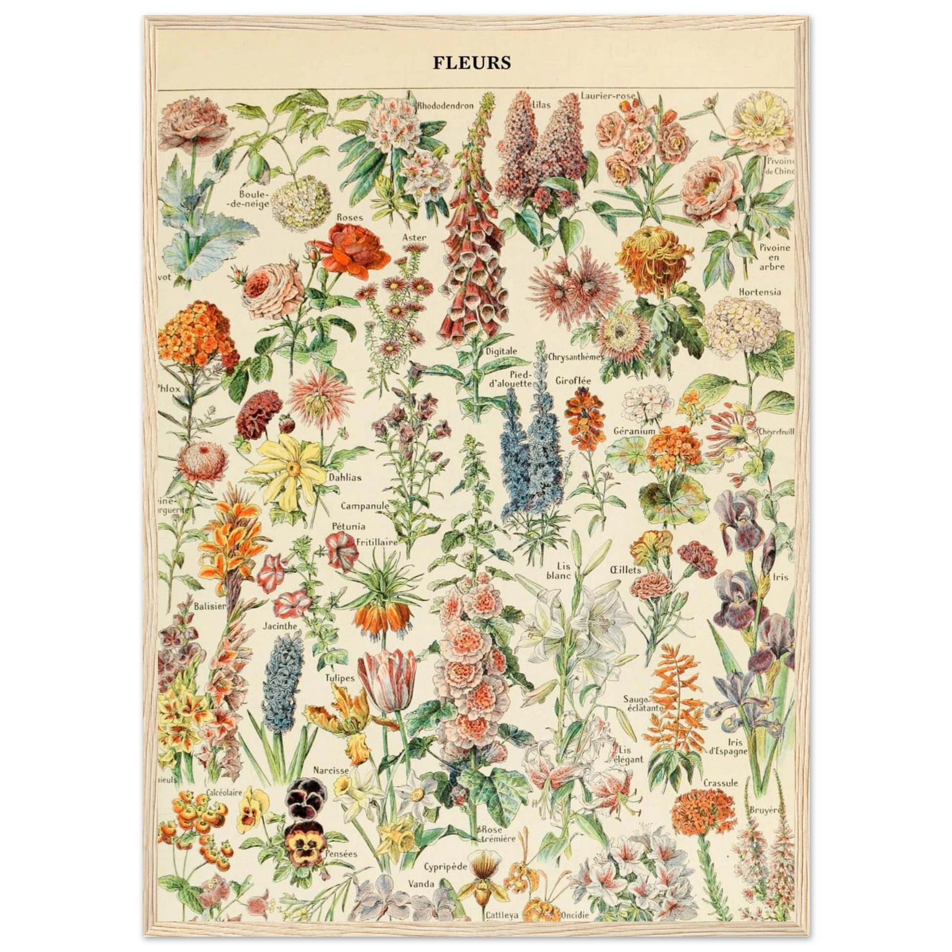 e803857c-a1d9-4c96-b716-0b0017053b8d