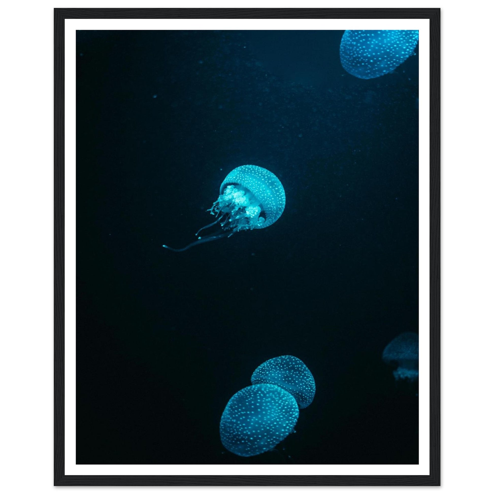 efe7bf3c-b5fa-4af1-8609-e0376bab9252