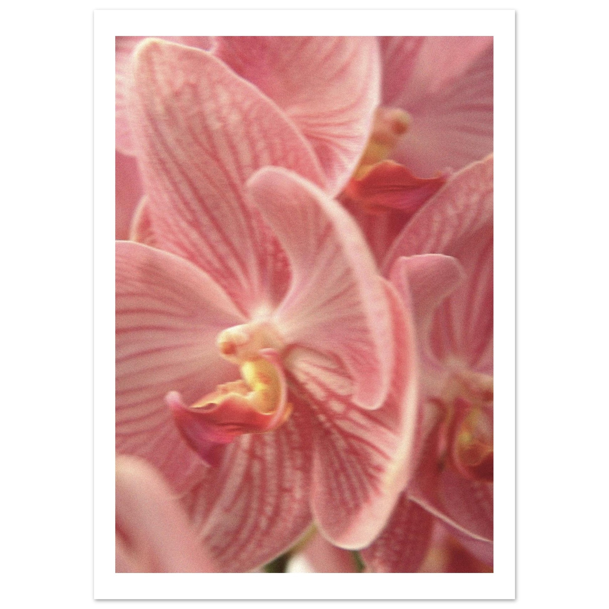 fd01af91-194d-4b74-ba66-2ef845bc0082